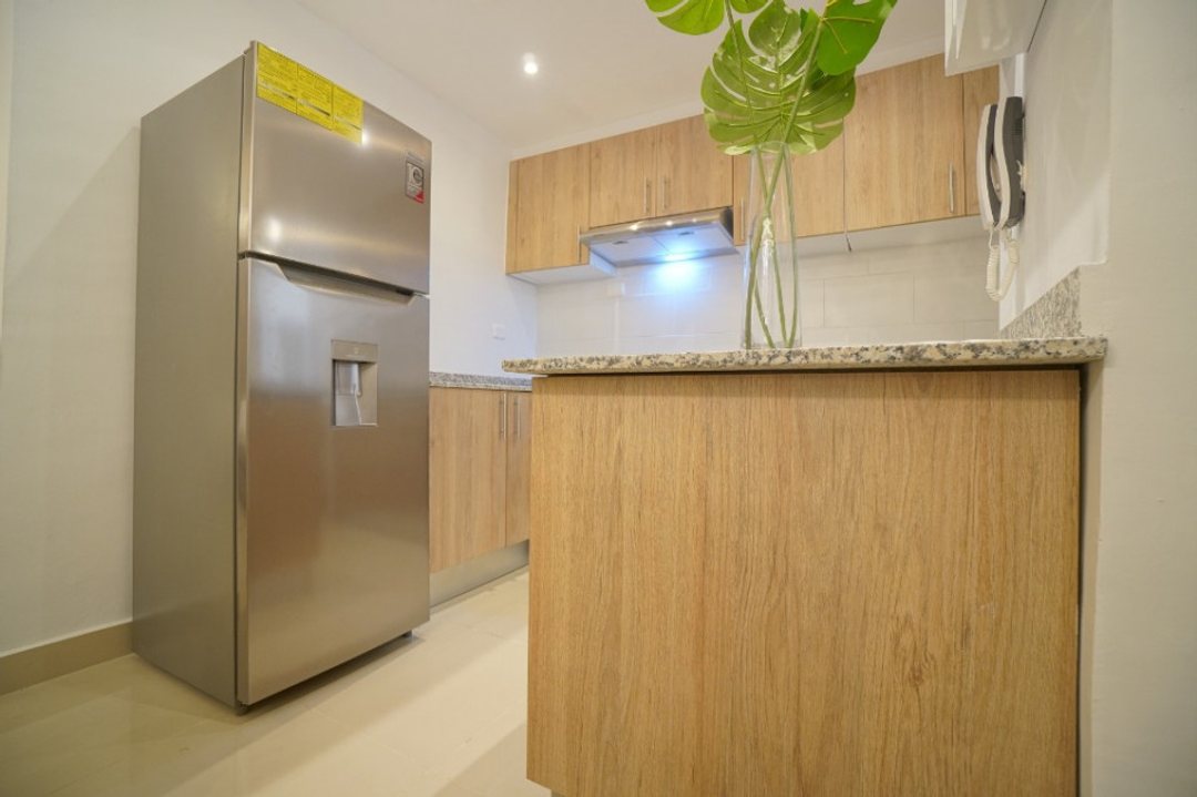 Apartamento en LAS AMÉRICAS, foto 5