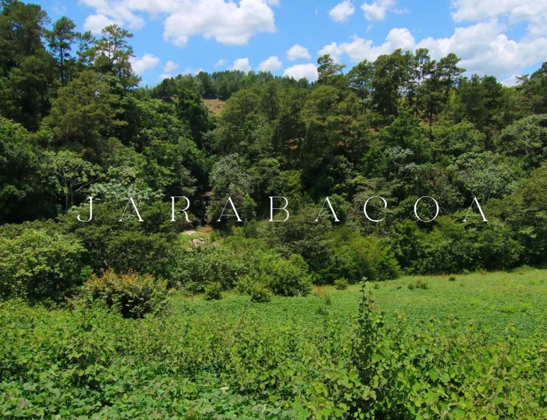 Terreno en Jarabacoa (Cabecera), Jarabacoa (Centro)