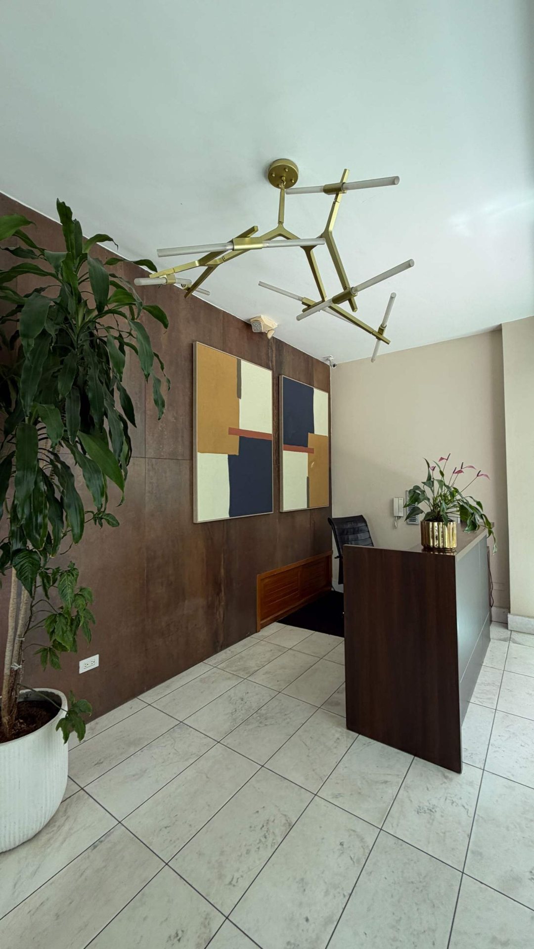 Apartment in Piantini