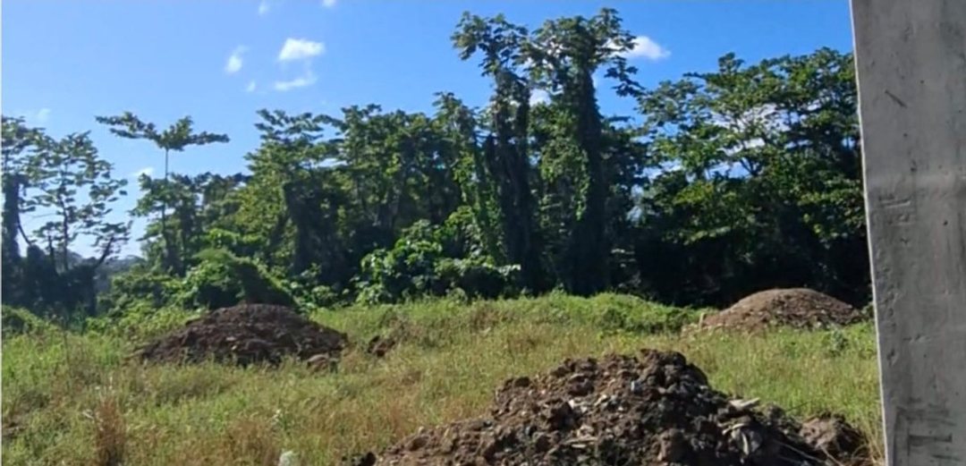 Solar en Hato Nuevo, foto 4
