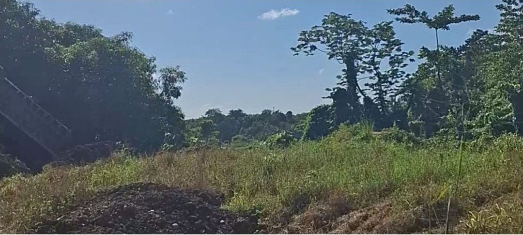 Solar en Hato Nuevo, foto 2