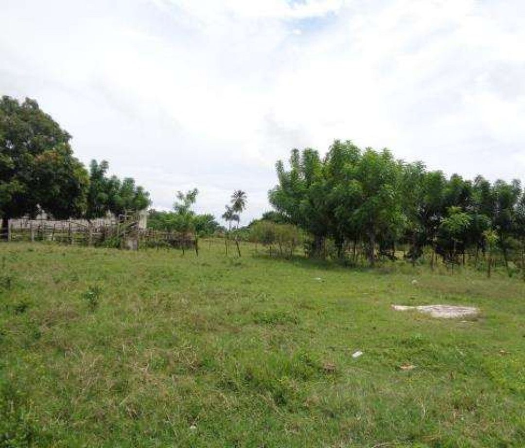 Lot in Pedro Brand