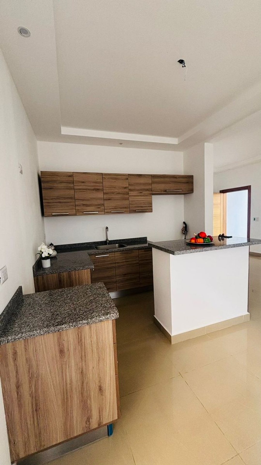 Casa en El Ejecutivo, foto 3