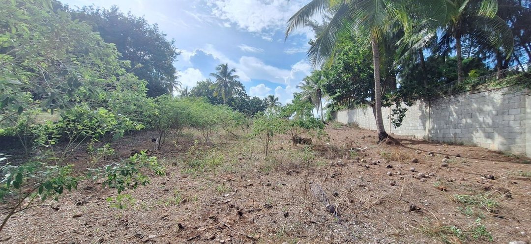 Solar en Duveaux (mamey Macho), foto 2