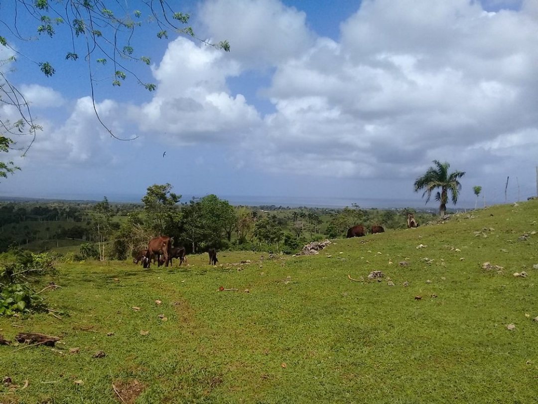 Solar en Los Cajuiles, foto 4