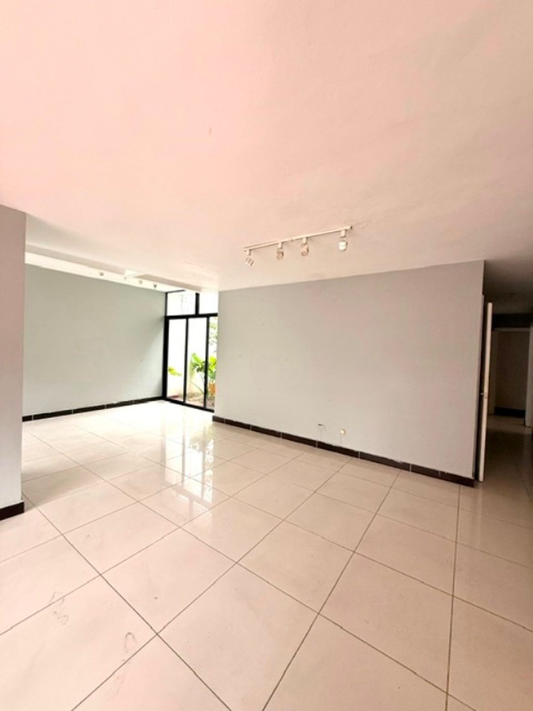 Local comercial en Piantini, foto 4