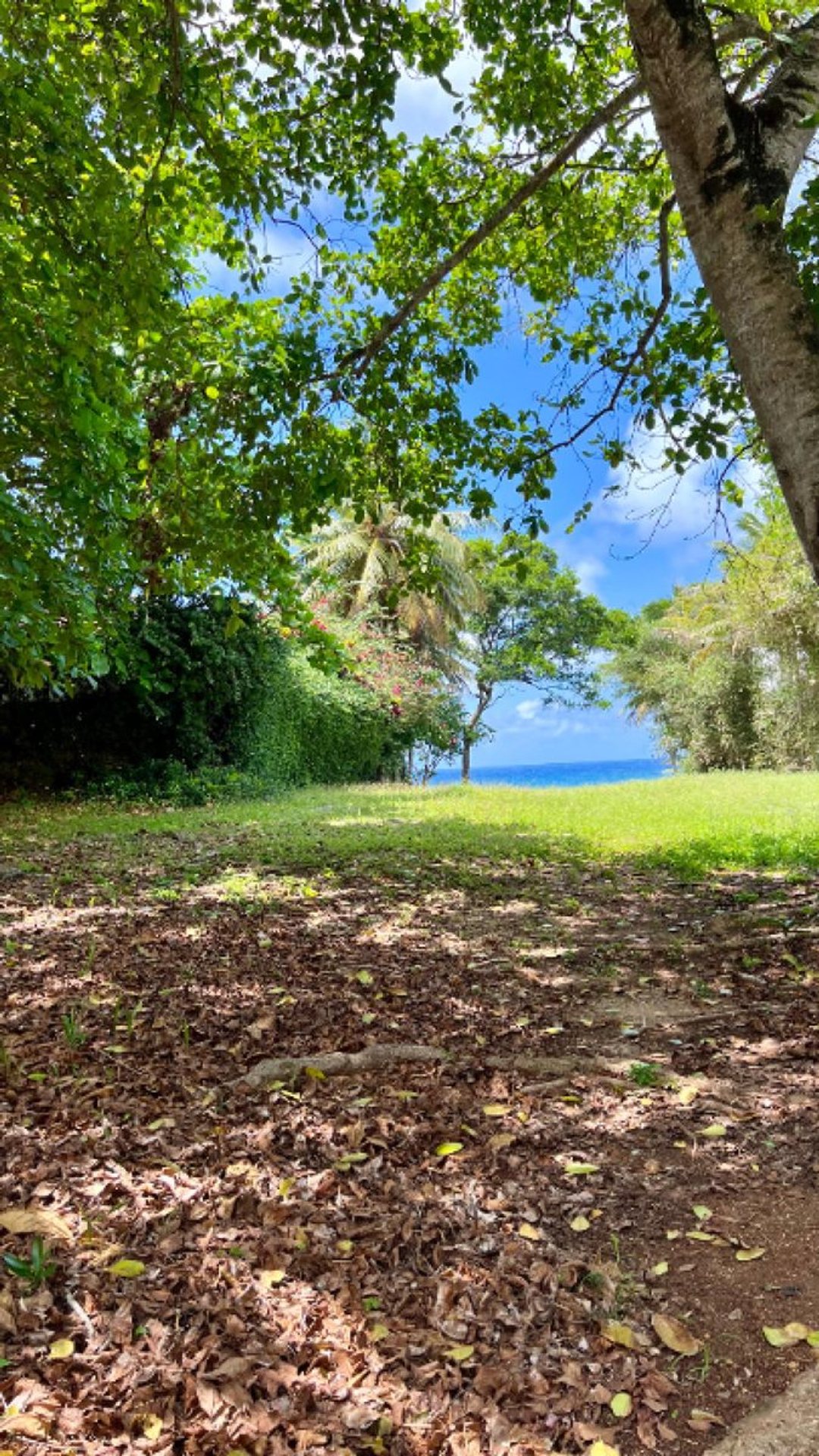 Solar en Oceanfront land in Ocean Village, foto 4