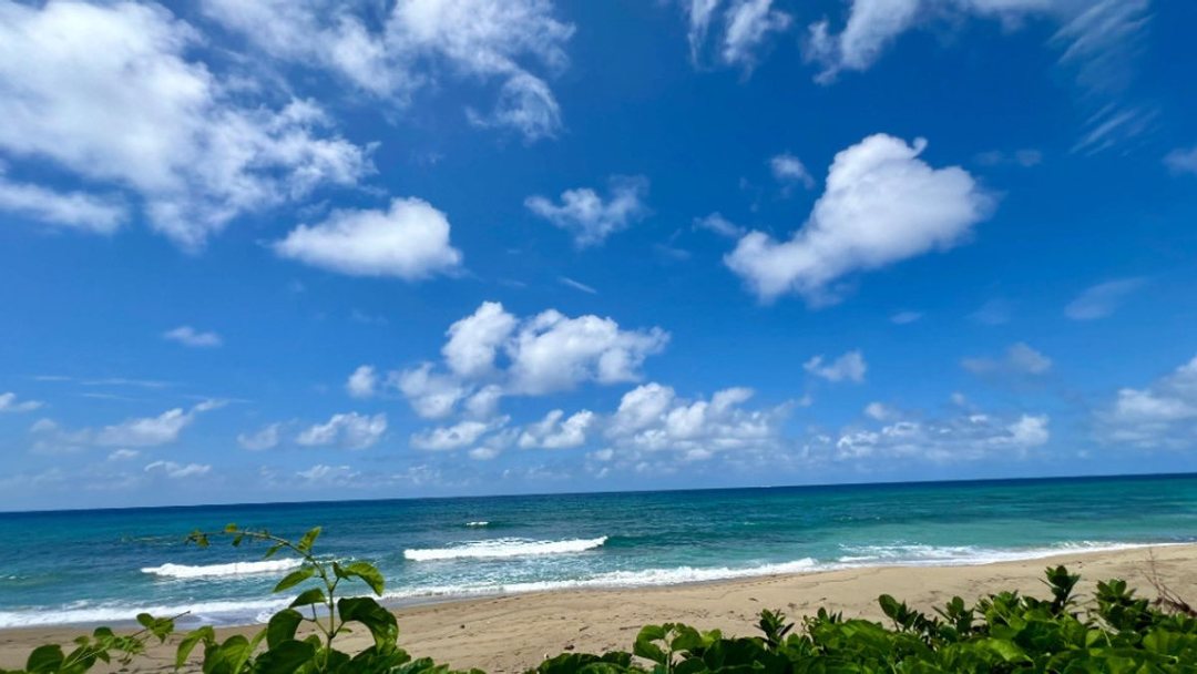 Solar en Oceanfront land in Ocean Village, foto 5
