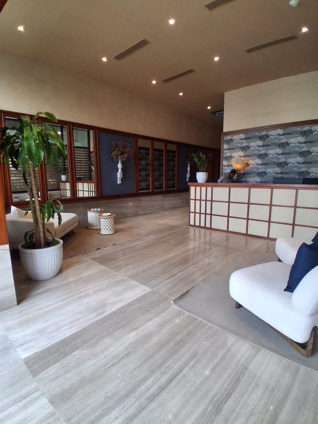 Apartamento en Piantini, foto 2