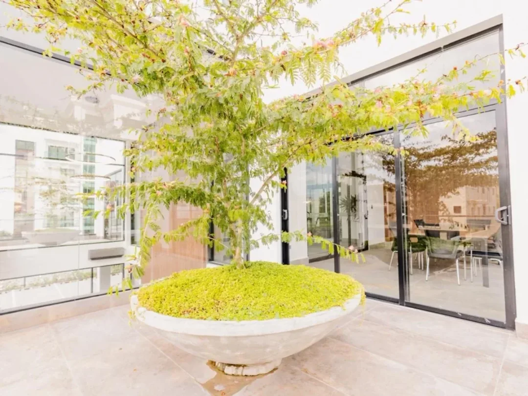 Apartamento en Urbanización Monte Verde, foto 4