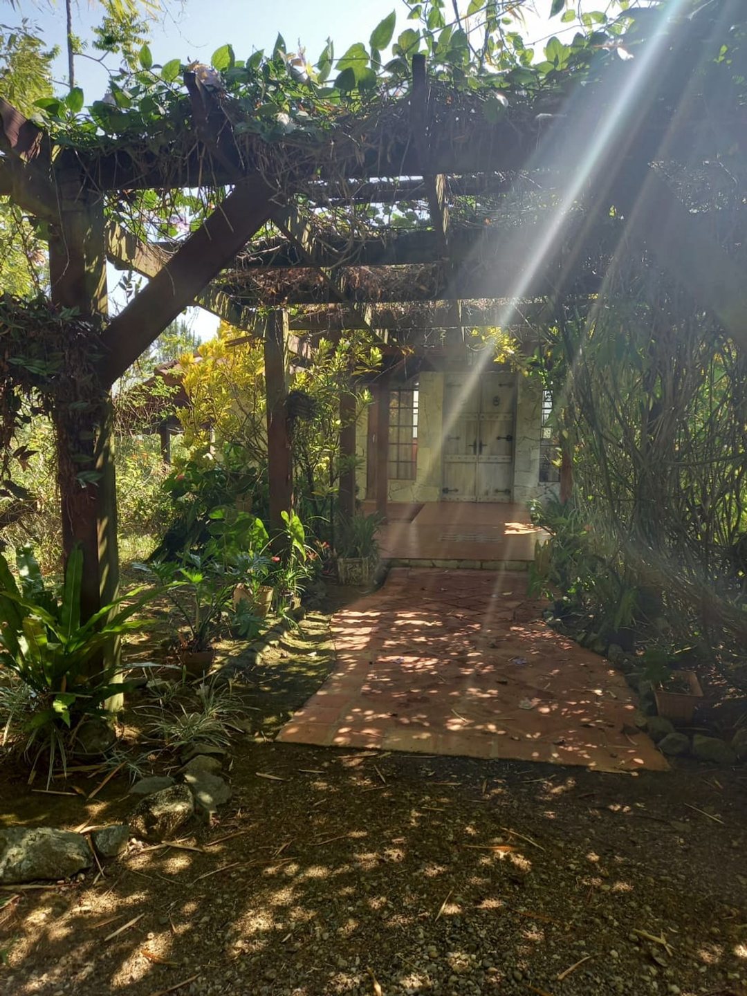 Casa en Mata de Plátano, foto 5