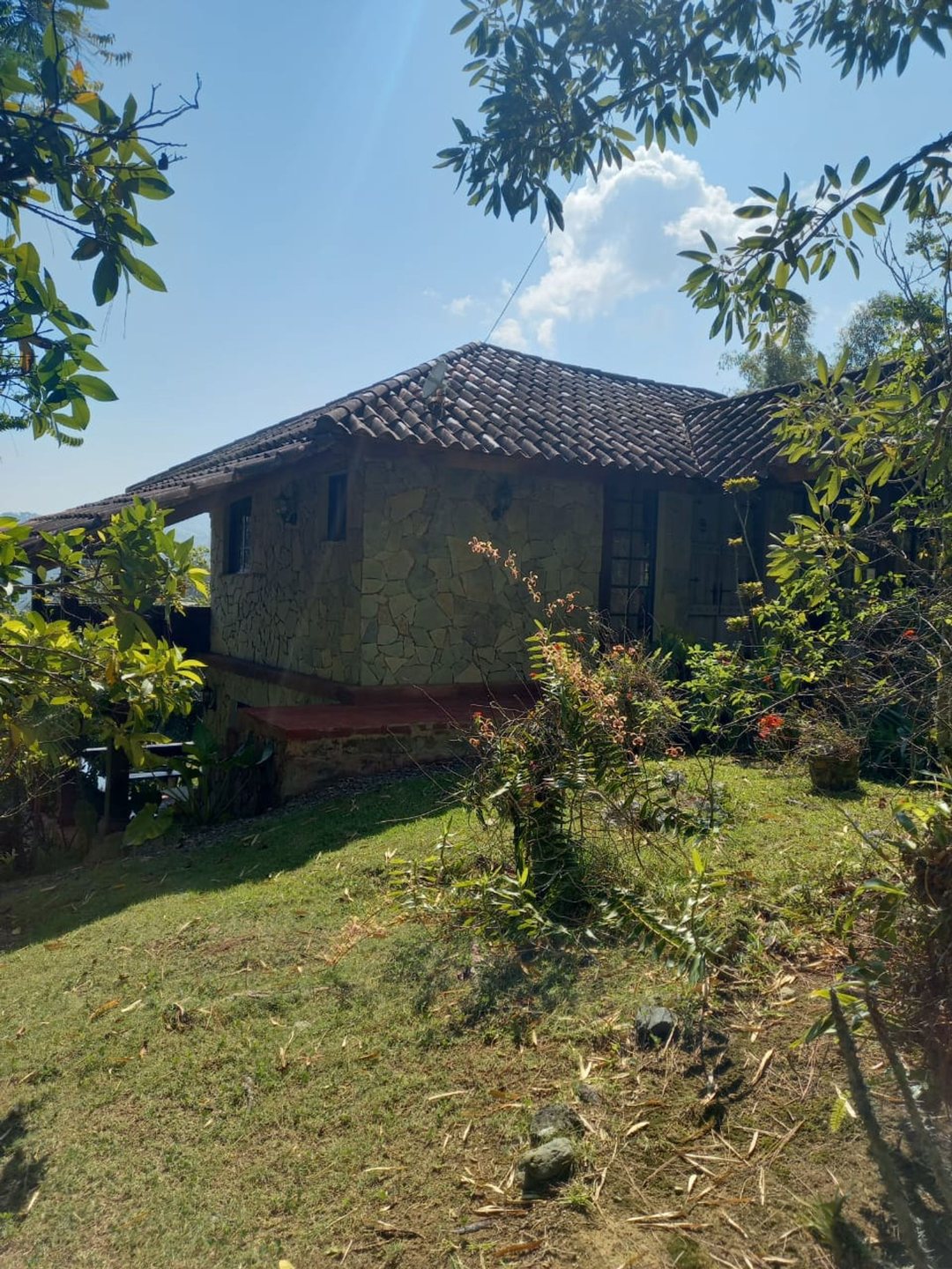 Casa en Mata de Plátano, foto 4