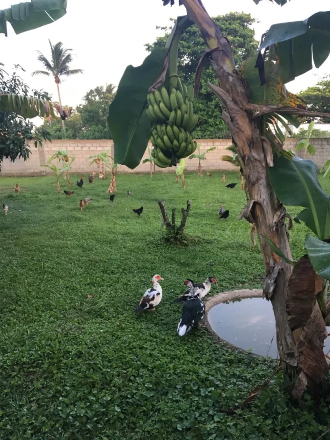 Casa en Sabana de la Mar, foto 3