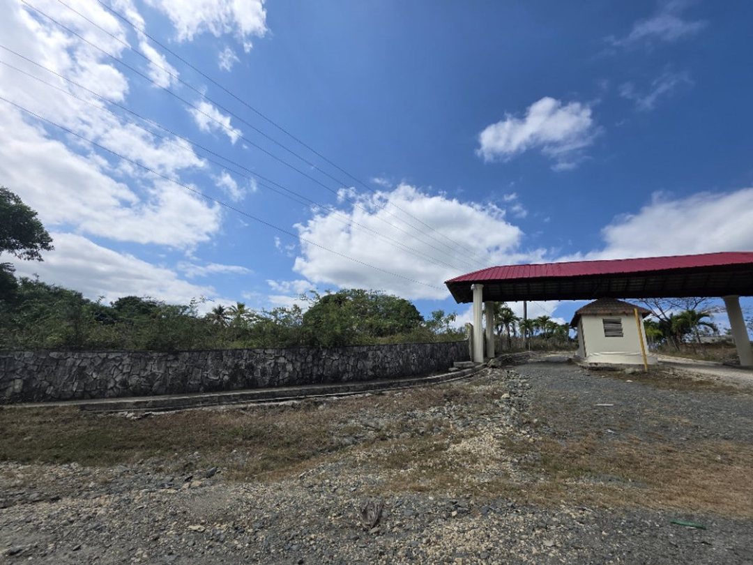 Lot in El Pedregal