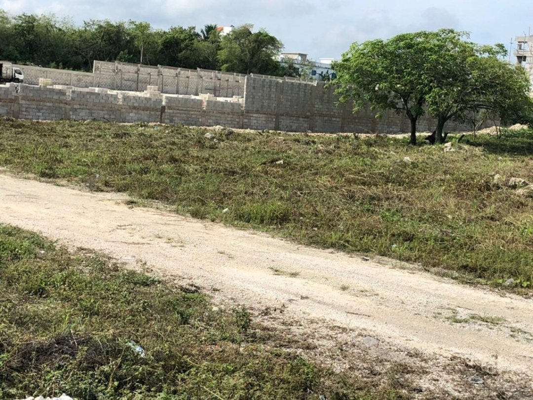 Solar en Punta Cana, Bávaro, 4501 m², foto 2