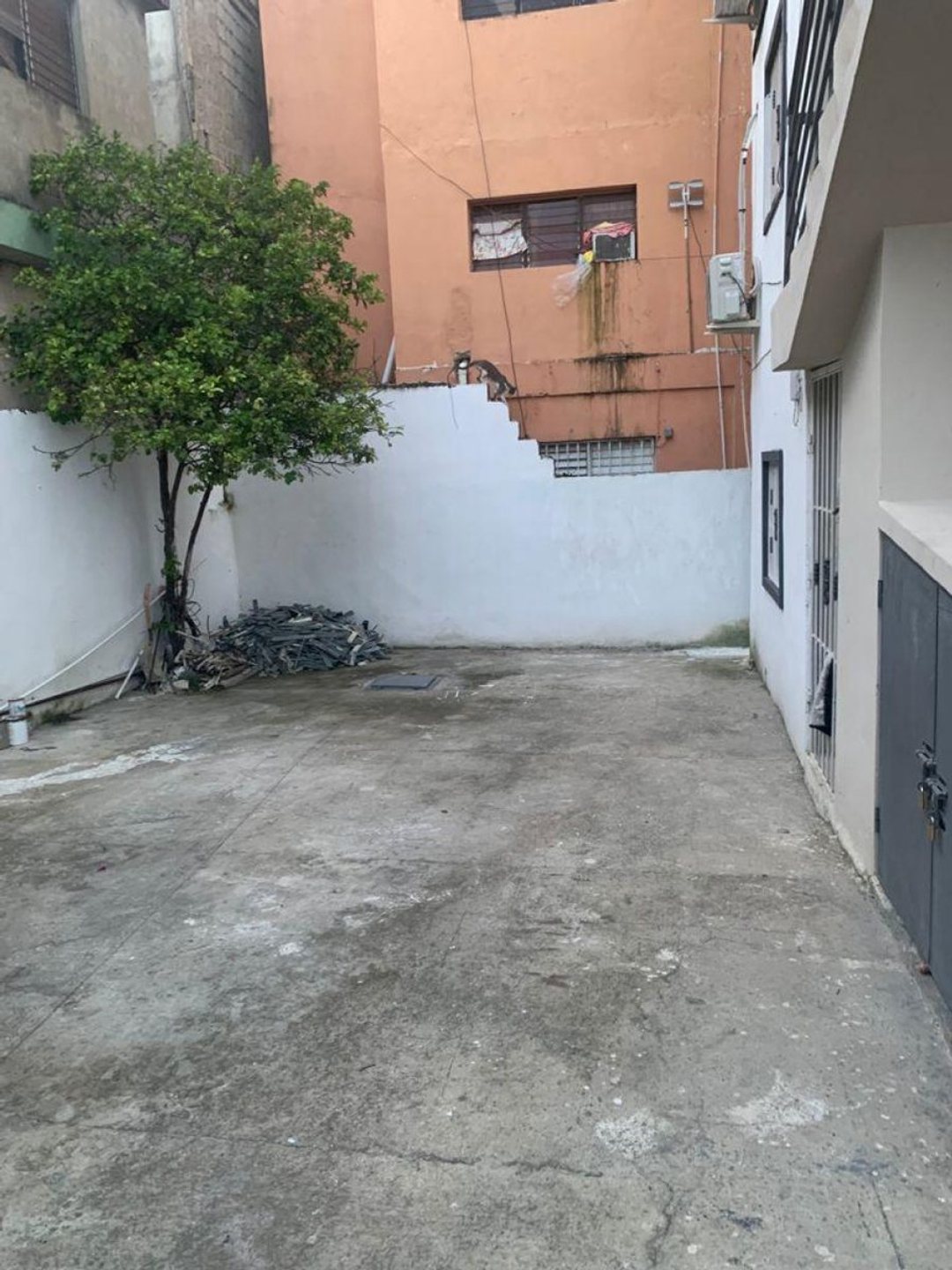 Local comercial en Alma Rosa II, foto 2