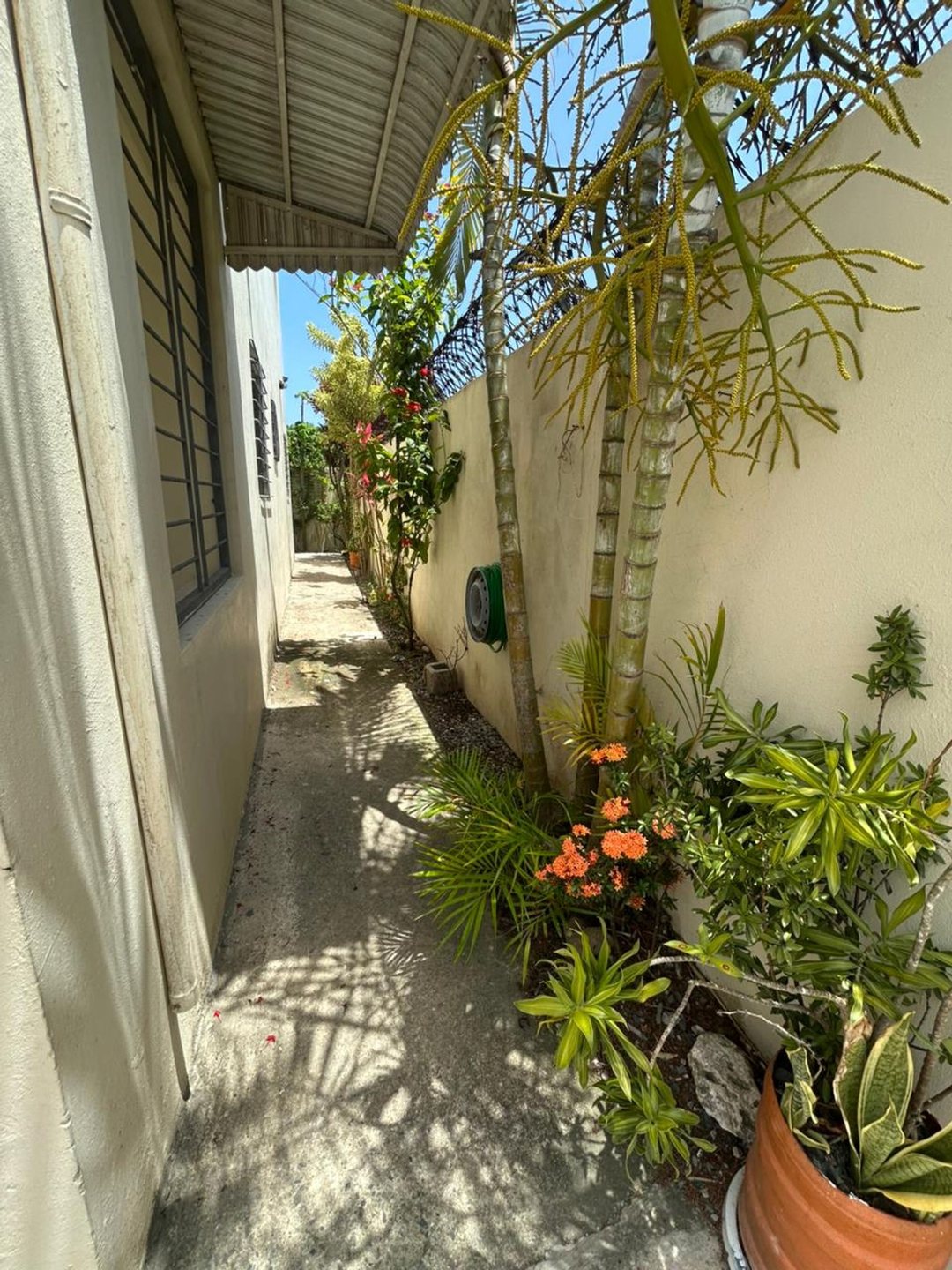 Local comercial en Residencial las Américas, foto 4
