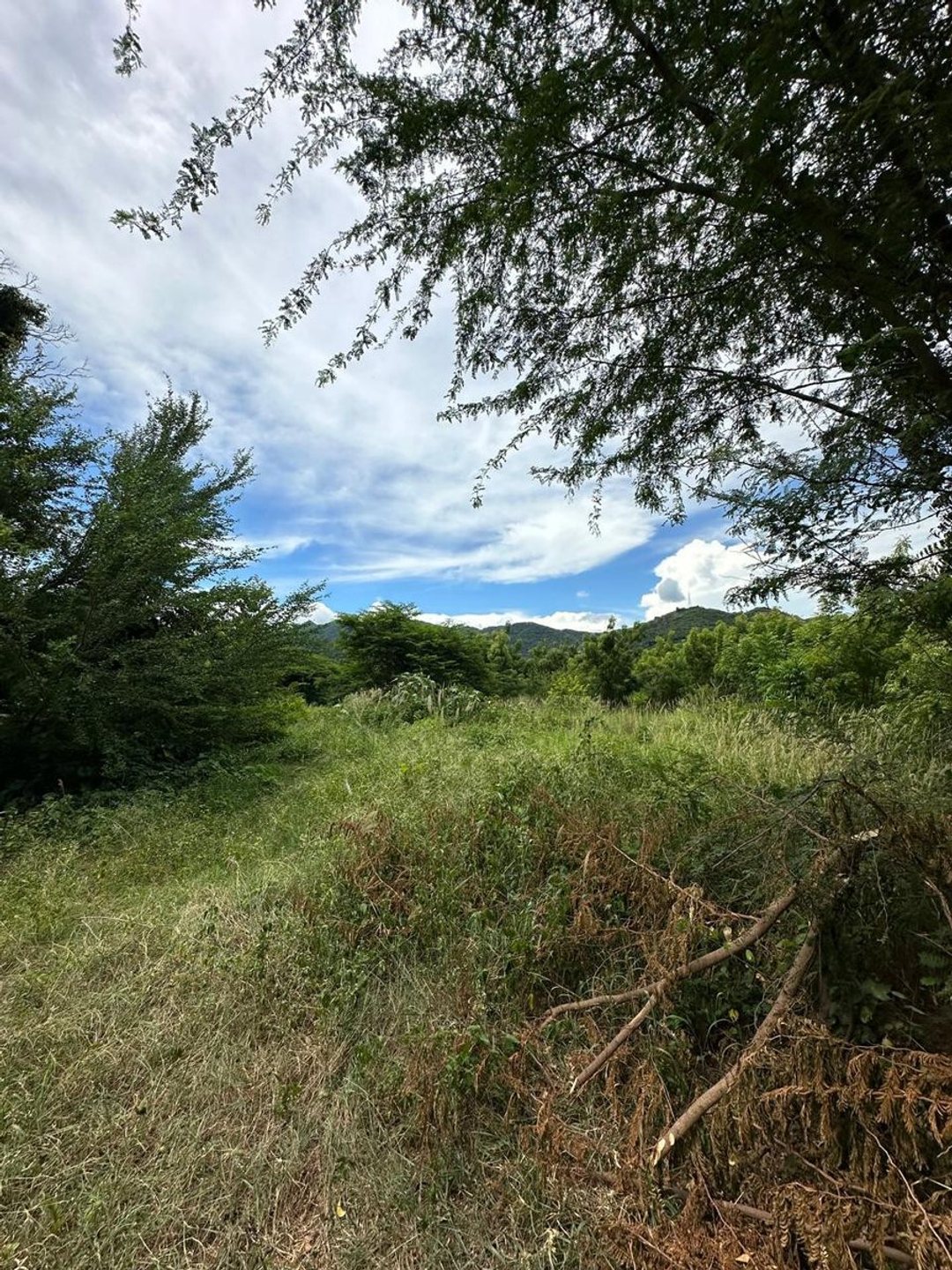 Solar en La Montería, foto 3