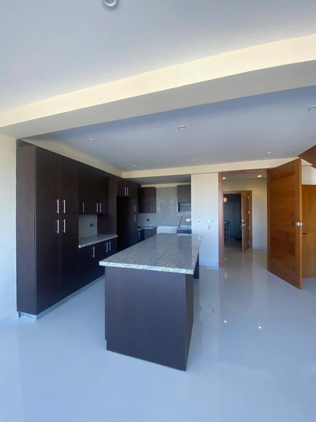 Penthouse en Dominicanos Ausentes, foto 4