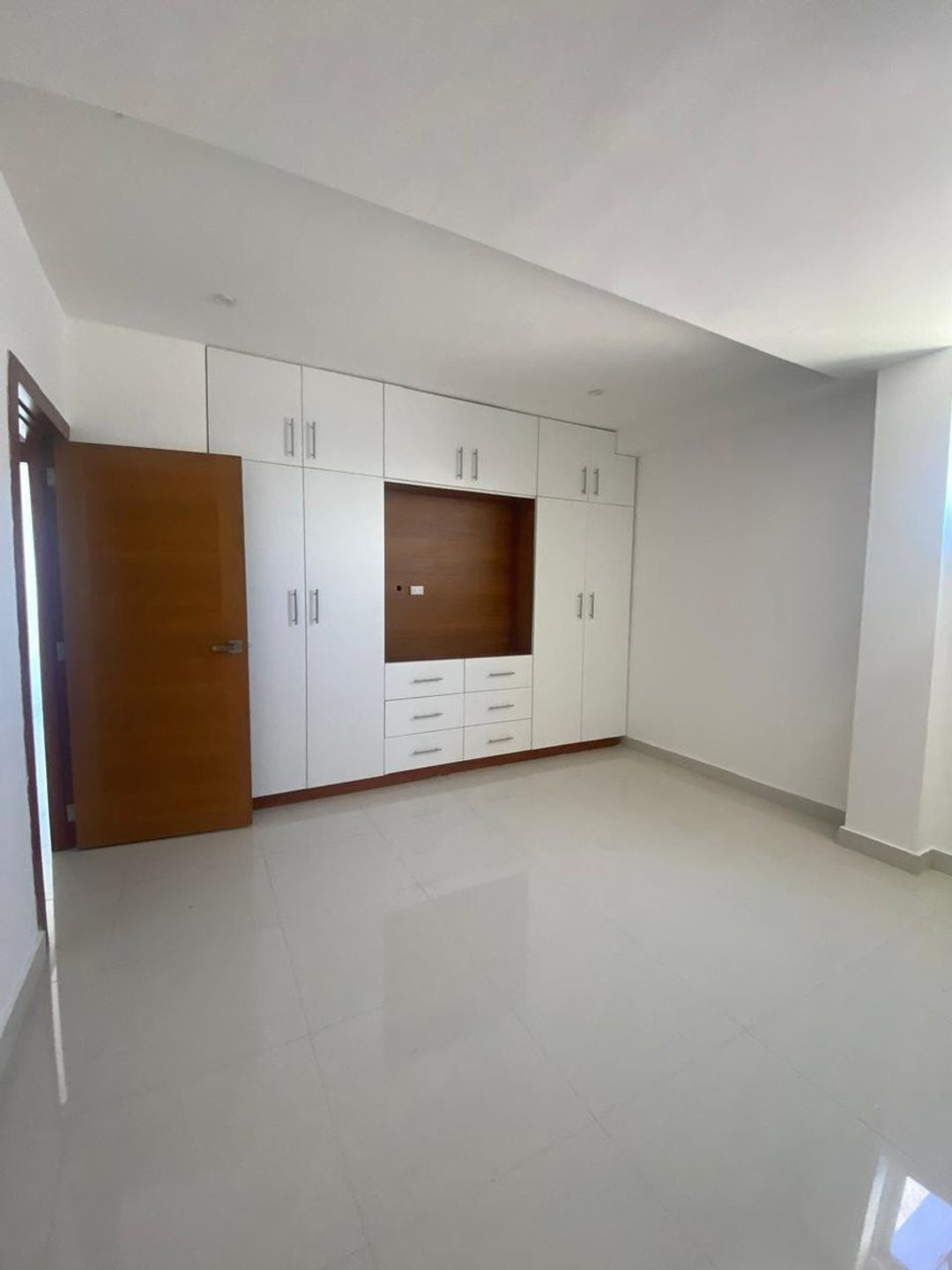 Penthouse en Dominicanos Ausentes, foto 2
