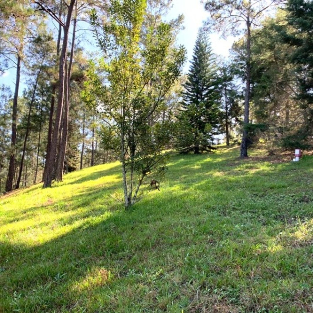 Lot in Jarabacoa
