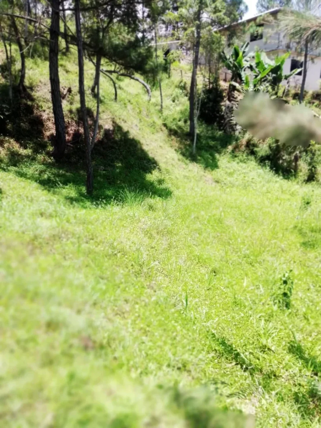 Solar en Constanza, foto 5