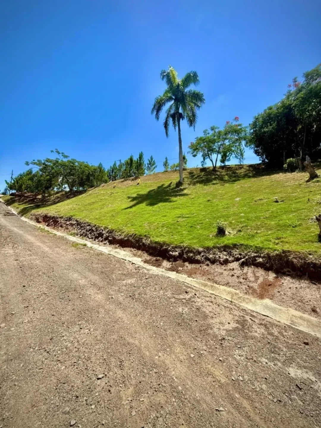 Lot in La Vega