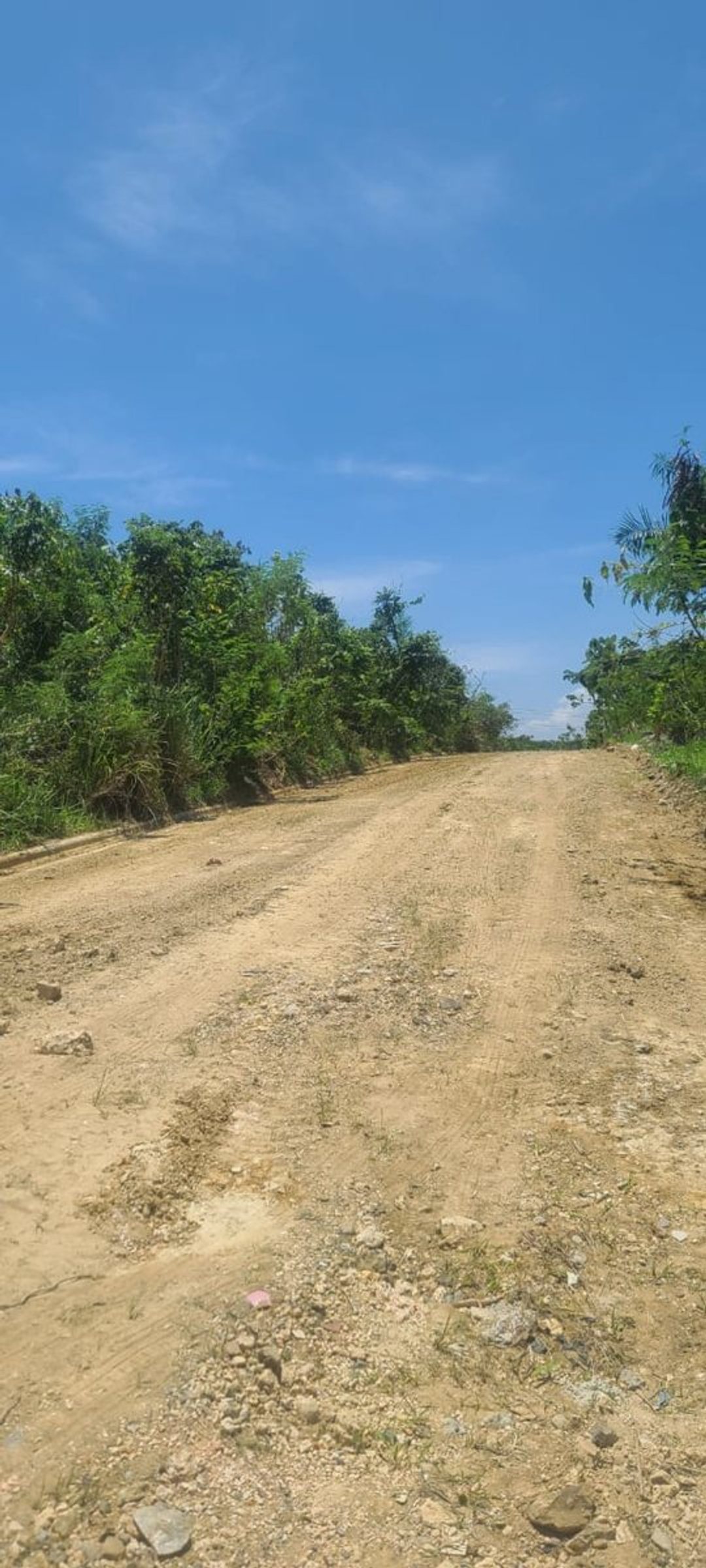 Lot in Pantoja