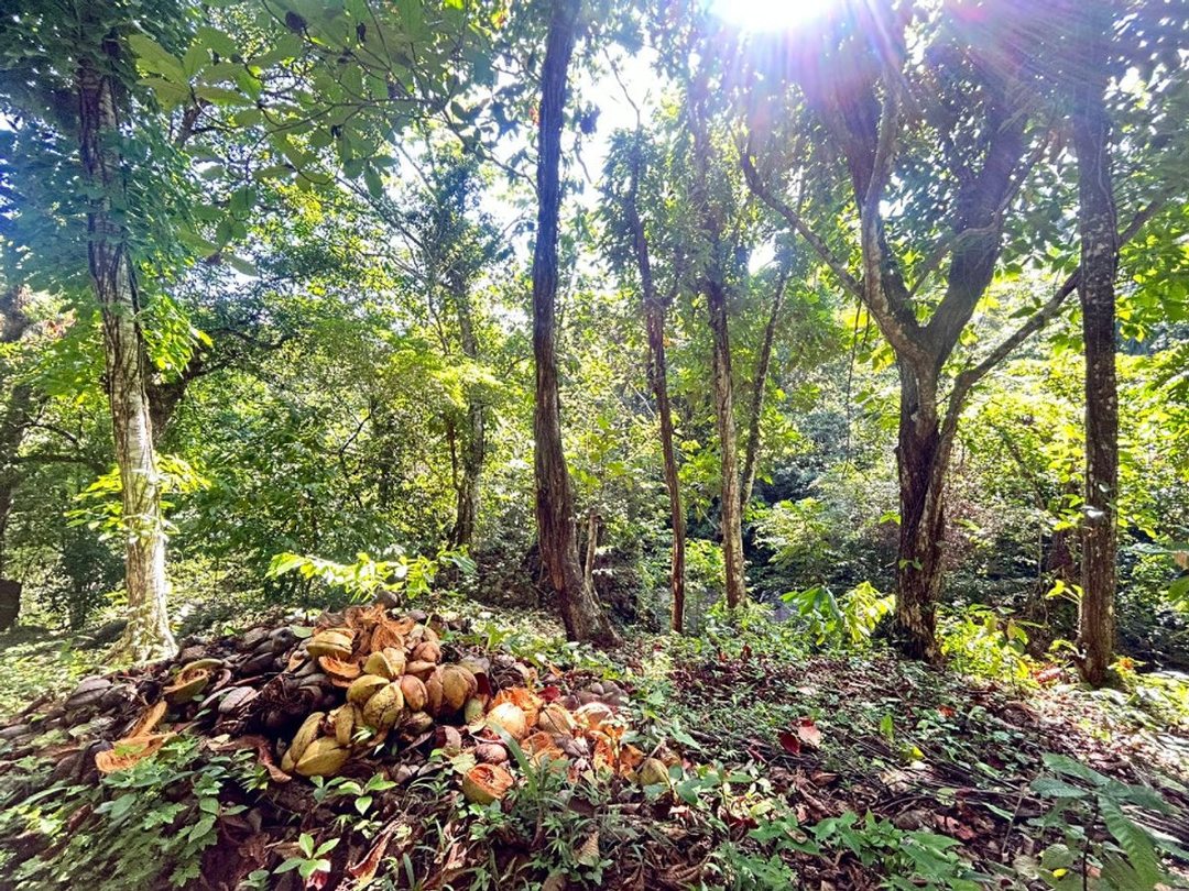 Solar en Samaná, Santa Bárbara, foto 4