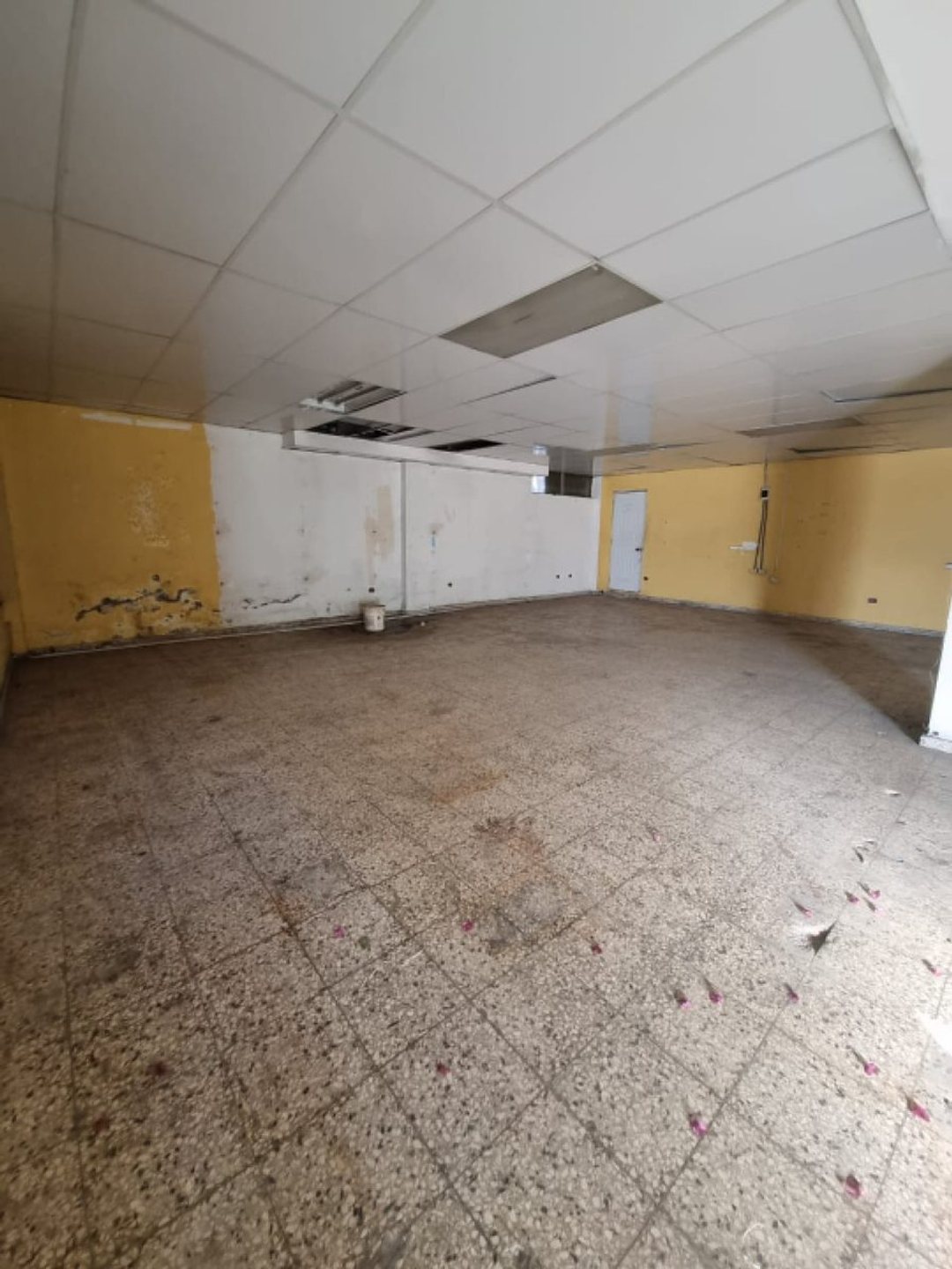 Local comercial en San Carlos, foto 3