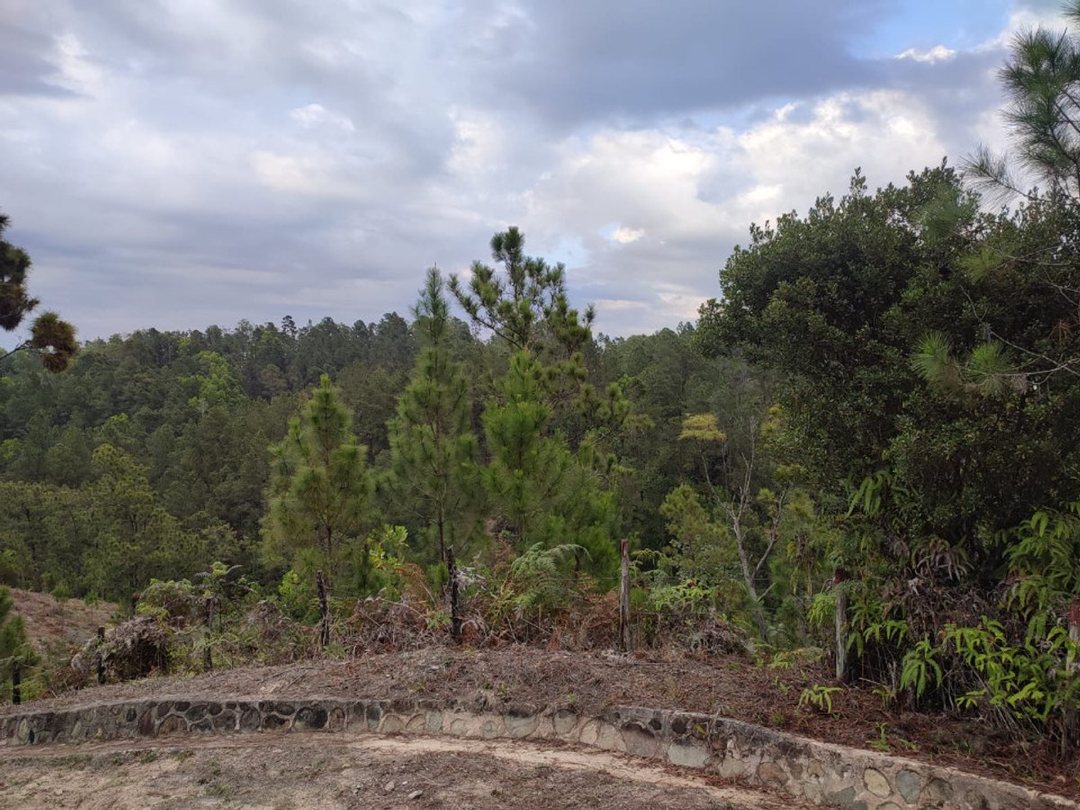 Solar en CONSTANZA, foto 4