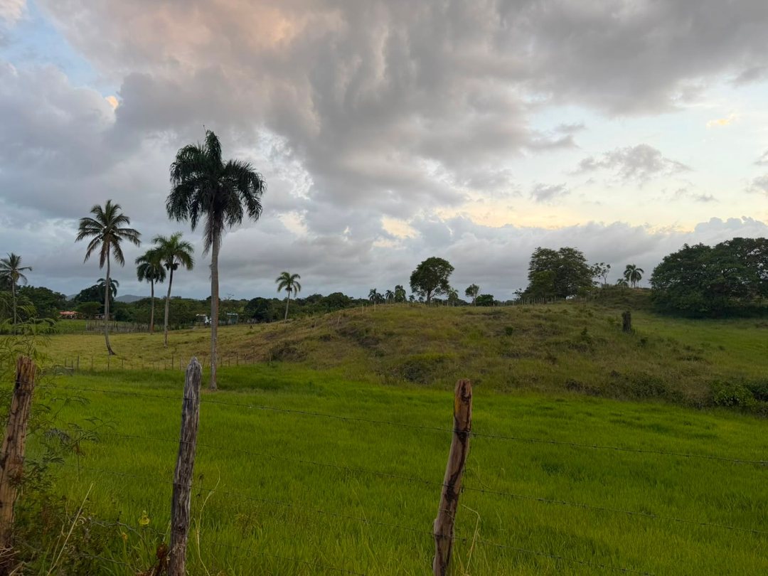 Solar en SAMANA-PALMARITO, foto 3