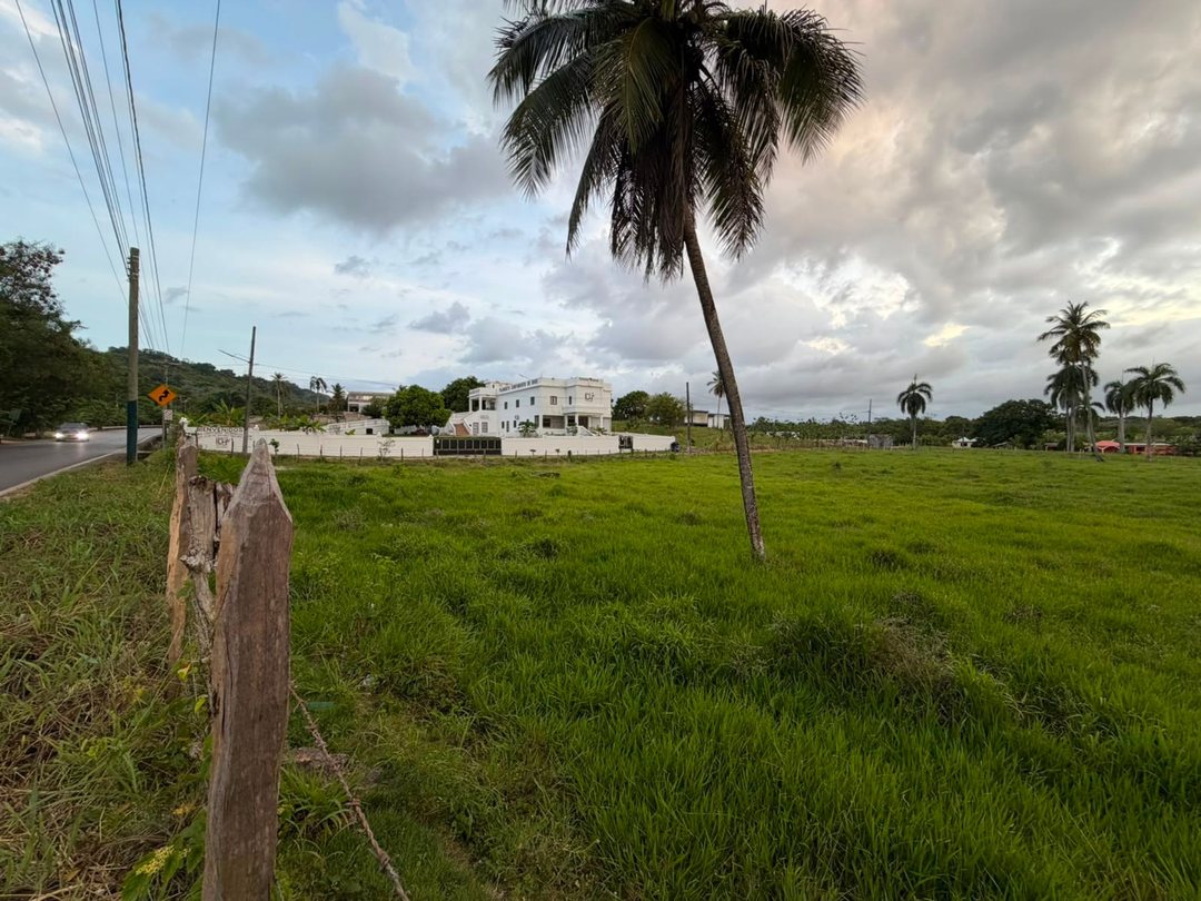 Solar en SAMANA-PALMARITO, foto 2