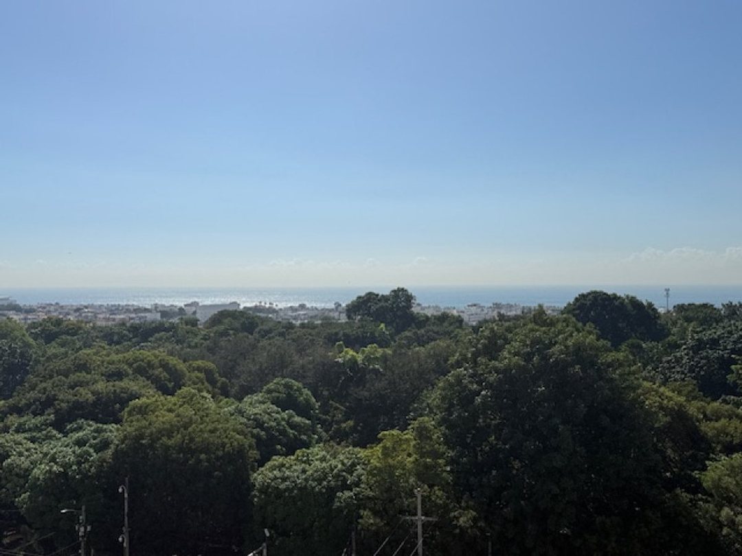 Penthouse en Los Cacicazgos, foto 5