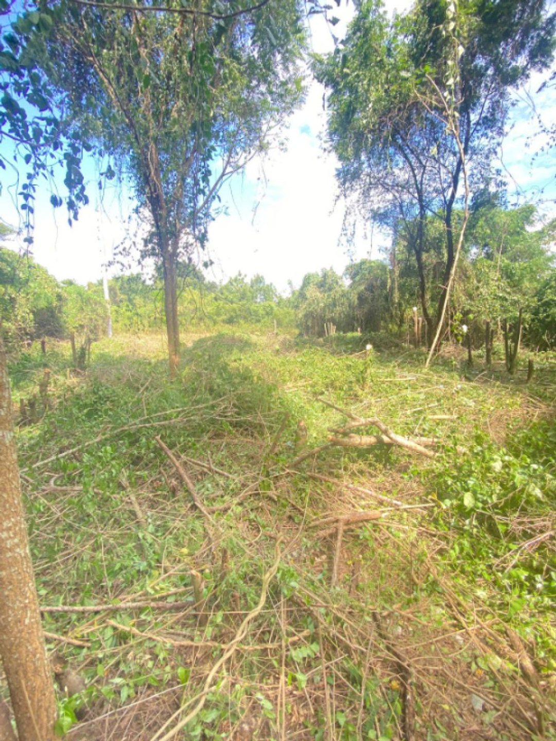 Lot in Juan Dolio