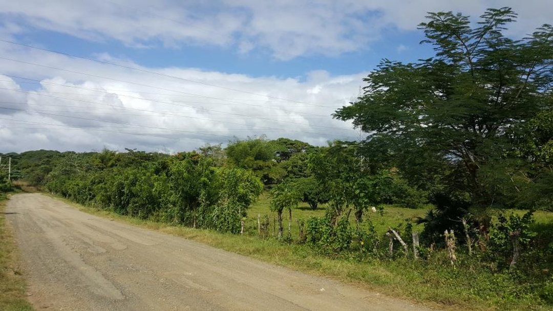 Solar en Batey Palamara, Pedro Brand, foto 4