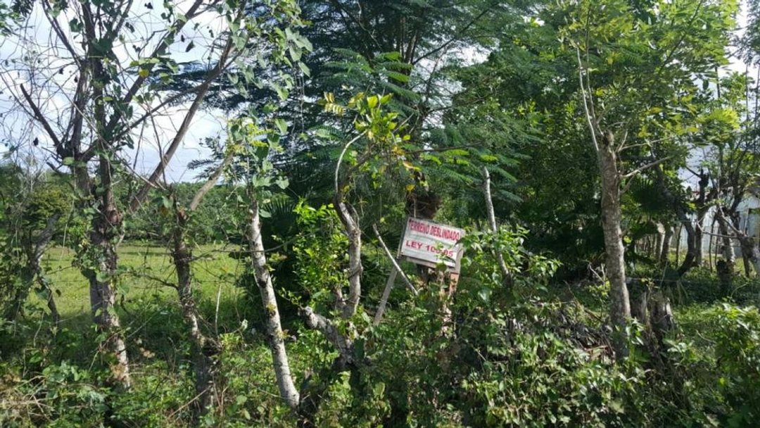 Solar en Batey Palamara, Pedro Brand, foto 3