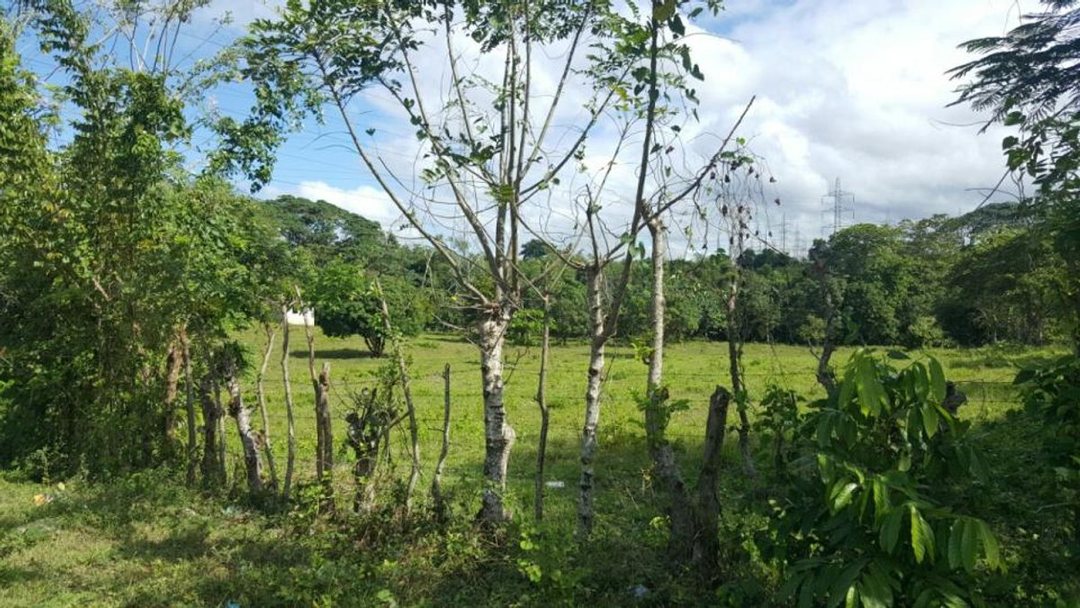 Solar en Batey Palamara, Pedro Brand, foto 2
