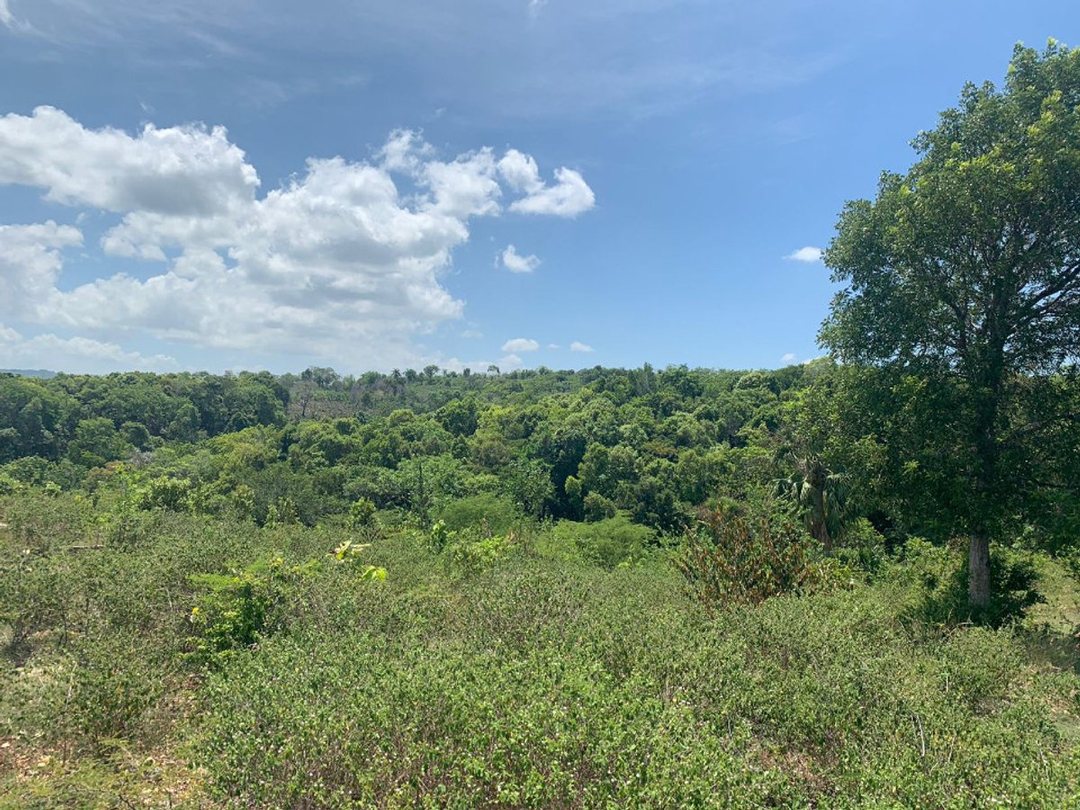 Solar en Alto de los Castillos, foto 3