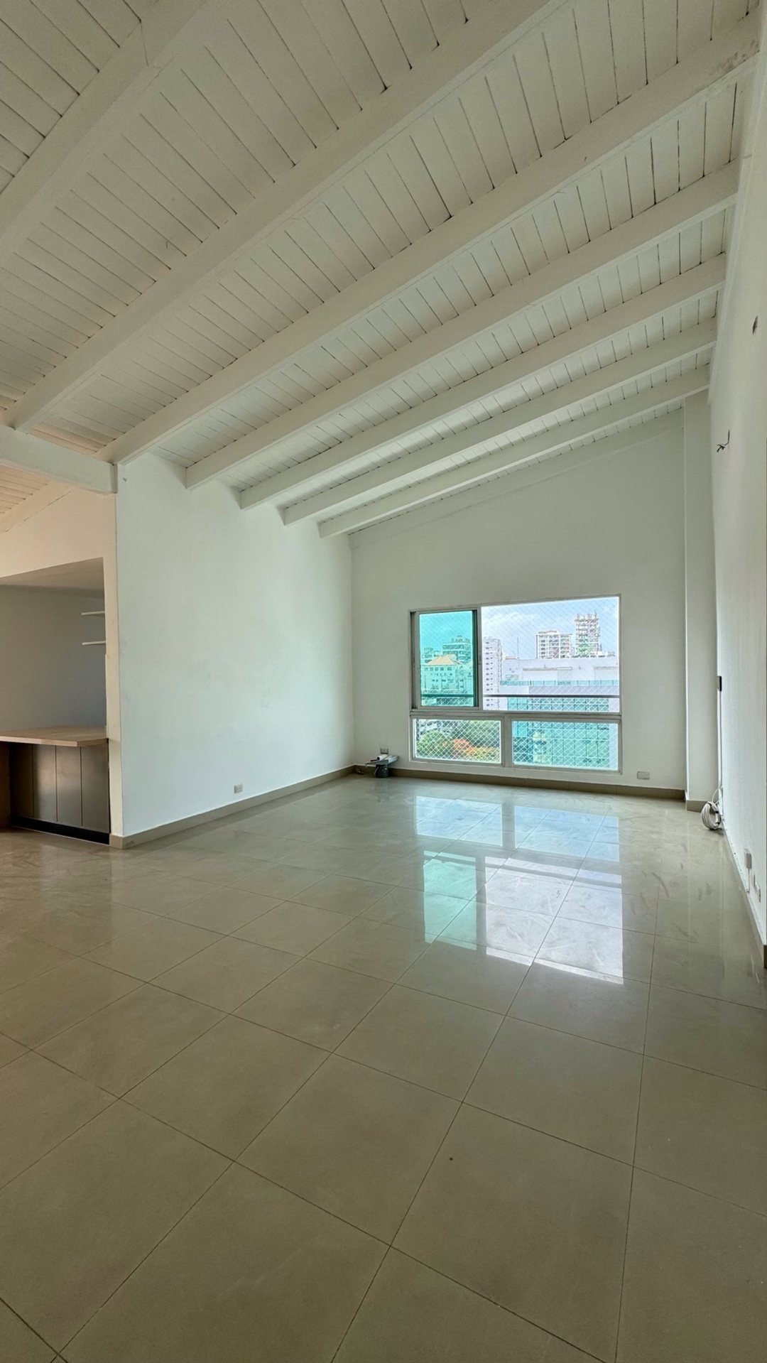 Apartamento en Ensanche Naco, foto 5