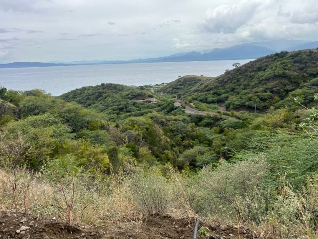 Solar en Palmar de Ocoa, AZUA, foto 2