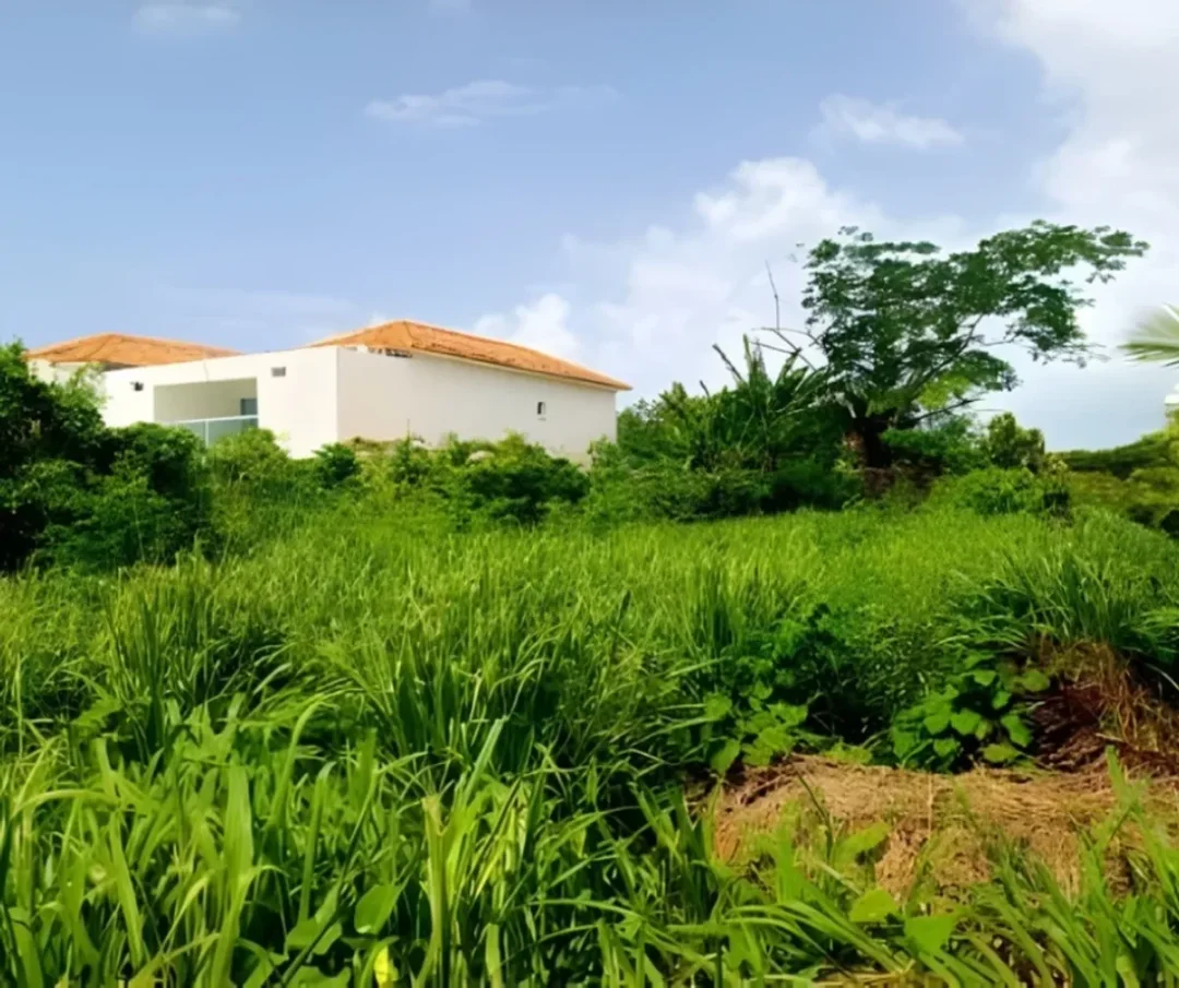 Lot in Metro Country Club