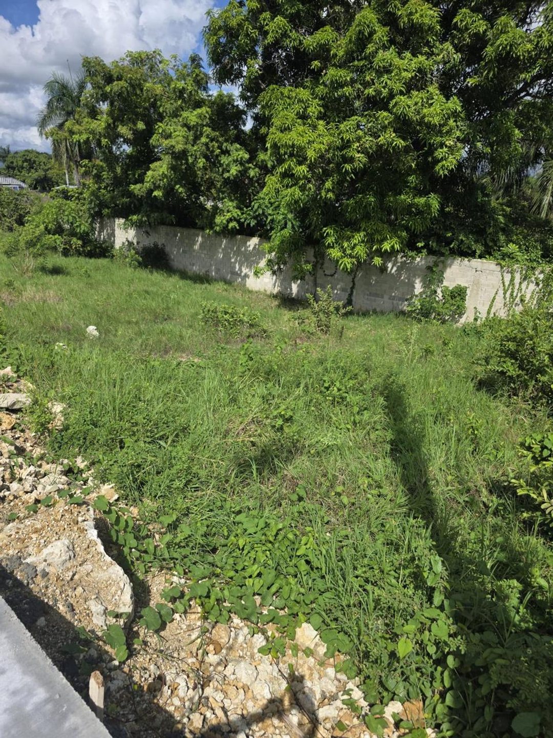 Solar en Hato Nuevo, foto 2
