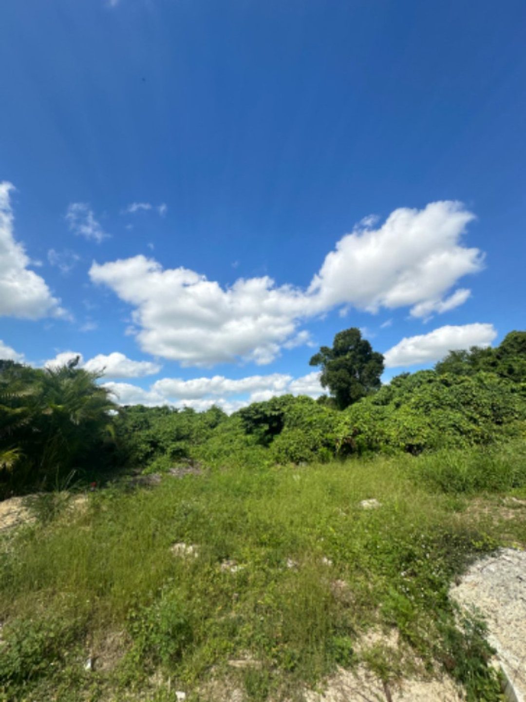 Lot in Metro Country Club