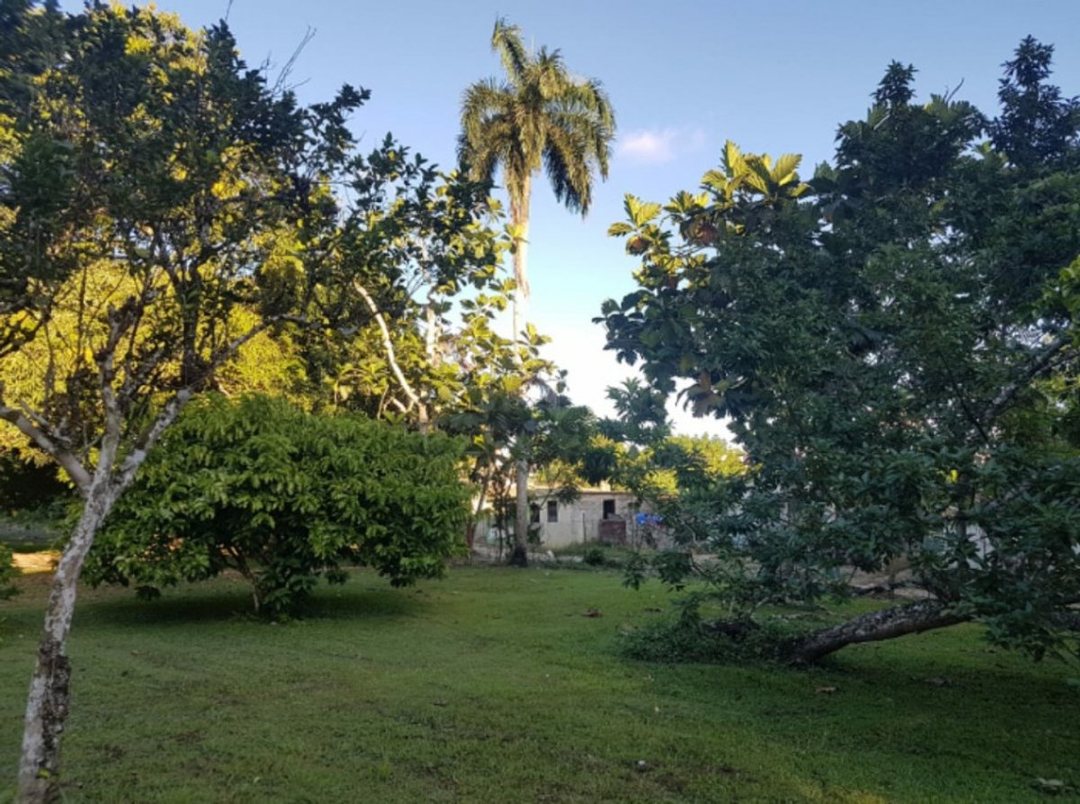 Solar en El Tamarindo, foto 3