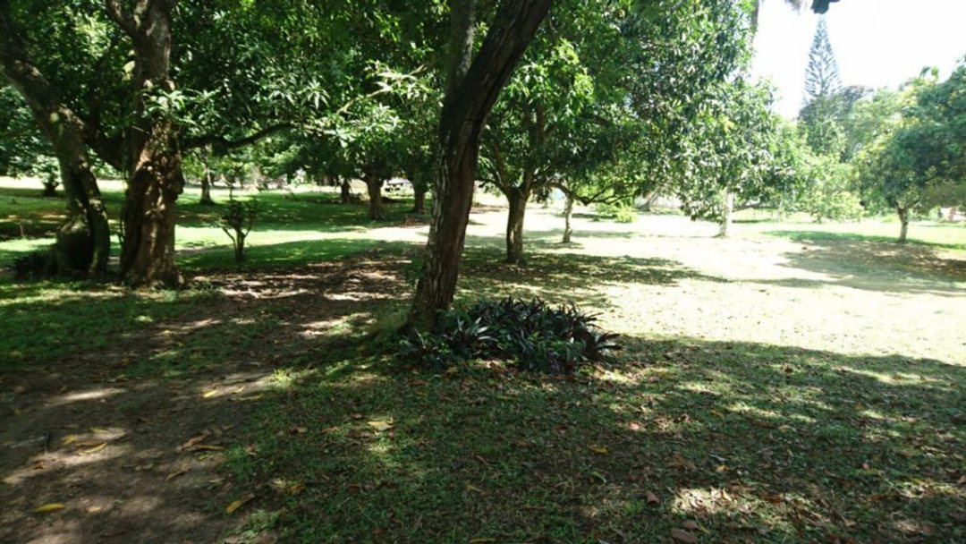 Solar en El Tamarindo, foto 2