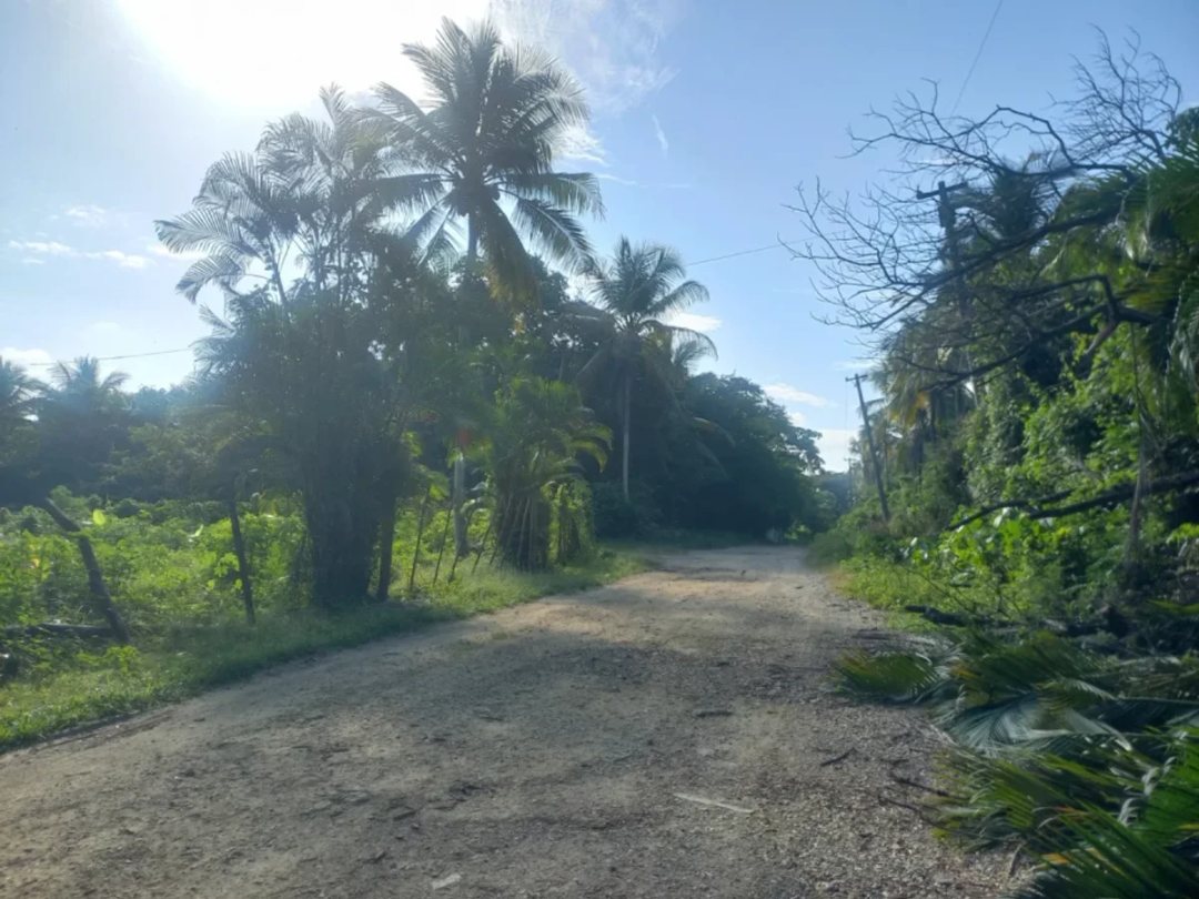 Casa en Higuero, foto 2