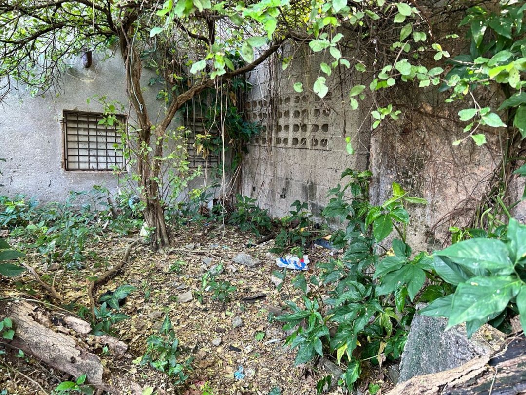 Casa en La Zona, foto 5