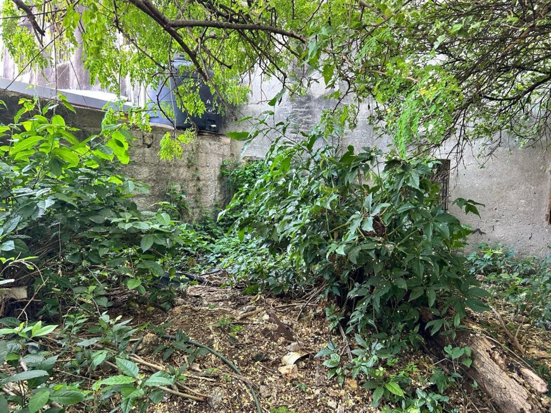 Casa en La Zona, foto 3