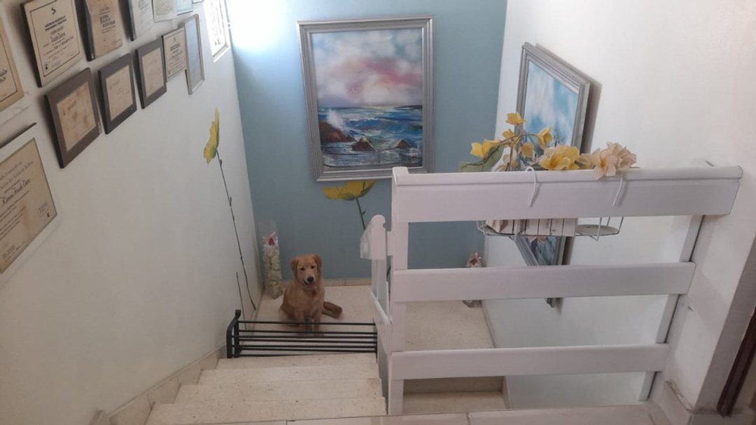 Apartamento en Evaristo Morales, foto 4